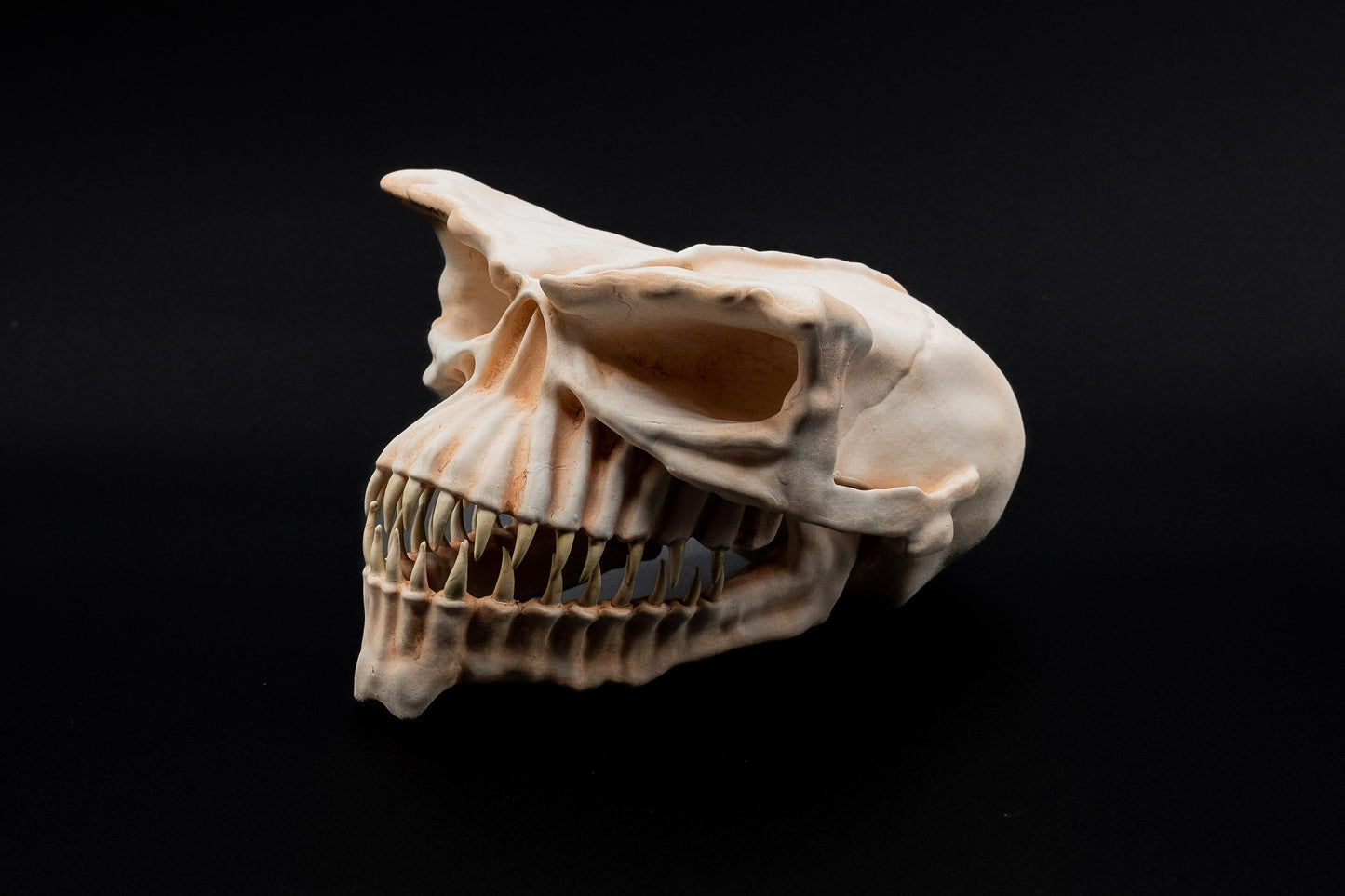Half scale Gremlin Skull Replica - Safety Third Studios