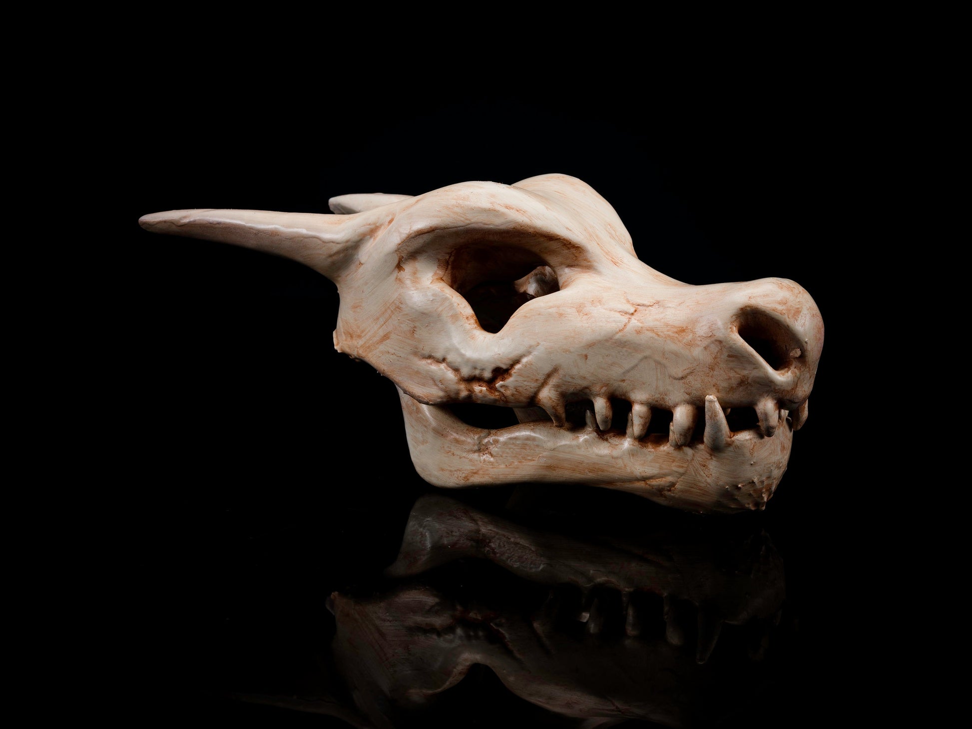 Inspired by Charizard Skull Replica - Safety Third Studios