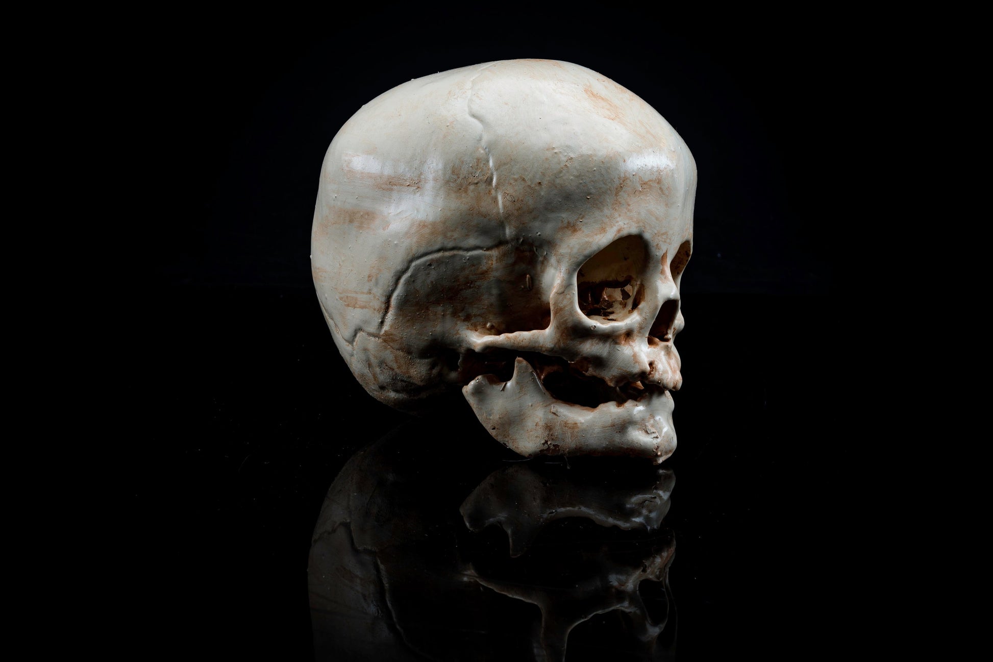Child Human Skull Replica - Safety Third Studios
