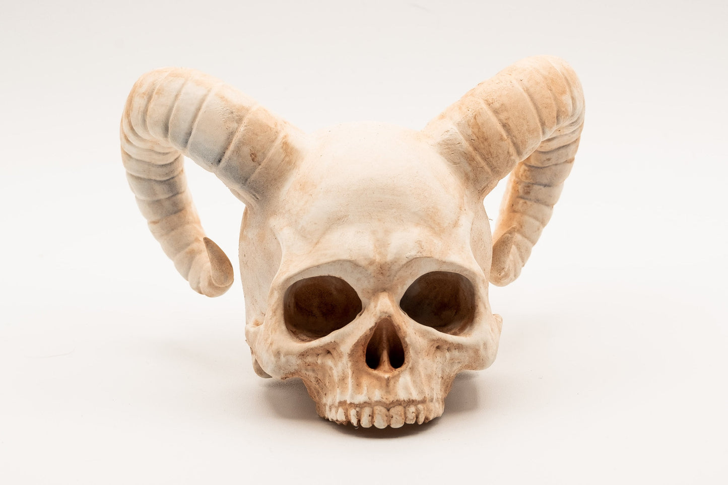 Demon Horned Skull Replica - Safety Third Studios