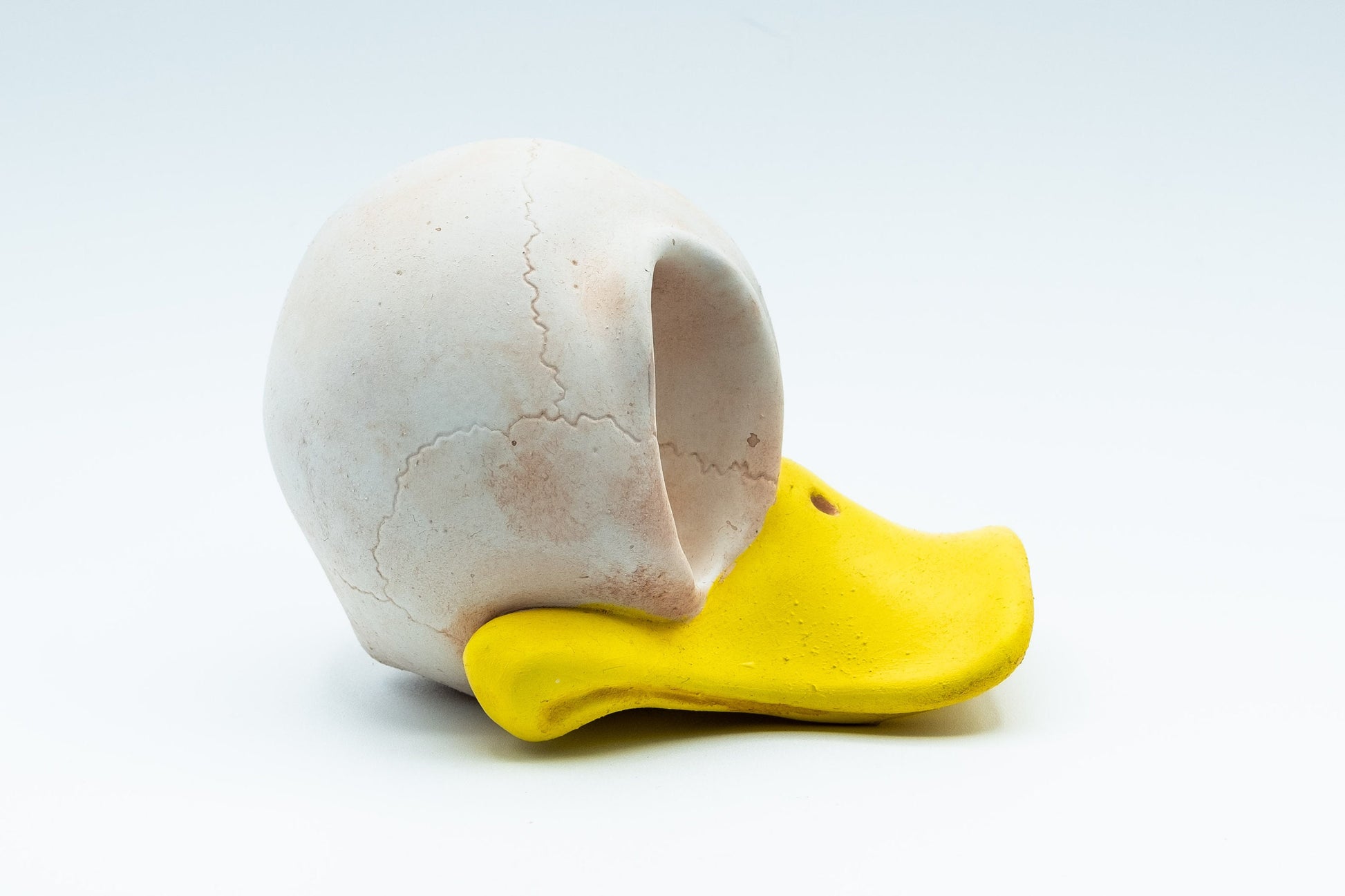 Donald Duck/Daffy Duck Skull Replica - Safety Third Studios