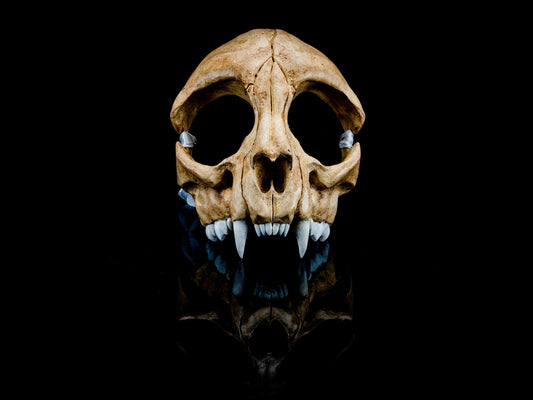 Cat Skull Mask - Safety Third Studios
