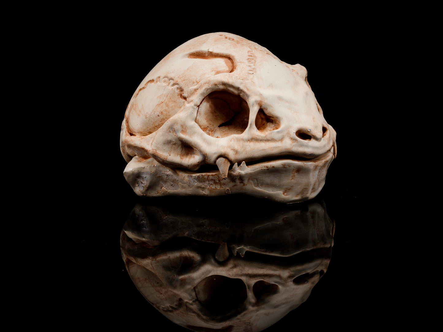 Inspired by Venasaur Skull Replica - Safety Third Studios