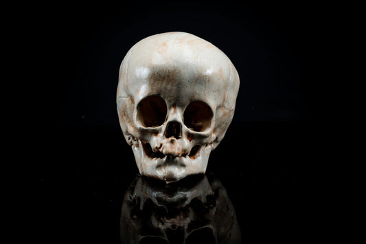 Child Human Skull Replica - Safety Third Studios