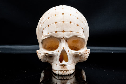 Pinhead Skull Replica - Safety Third Studios