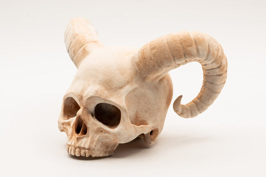 Demon Horned Skull Replica - Safety Third Studios