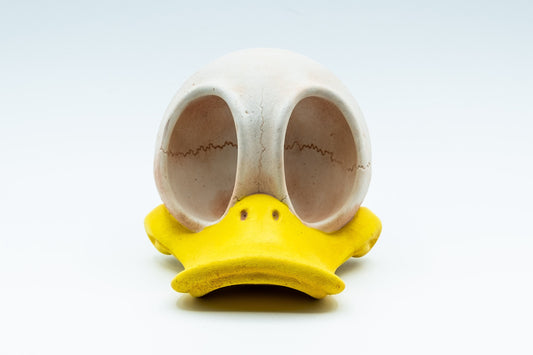 Donald Duck/Daffy Duck Skull Replica - Safety Third Studios